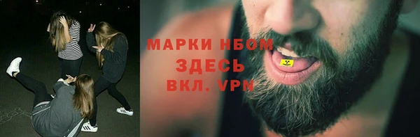 стаф Алзамай