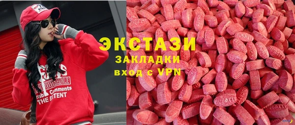 стаф Алзамай