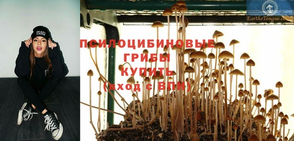 гидропоника Алексин
