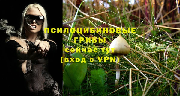 стаф Алзамай