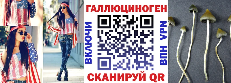 Галлюциногенные грибы GOLDEN TEACHER  цены   Похвистнево 