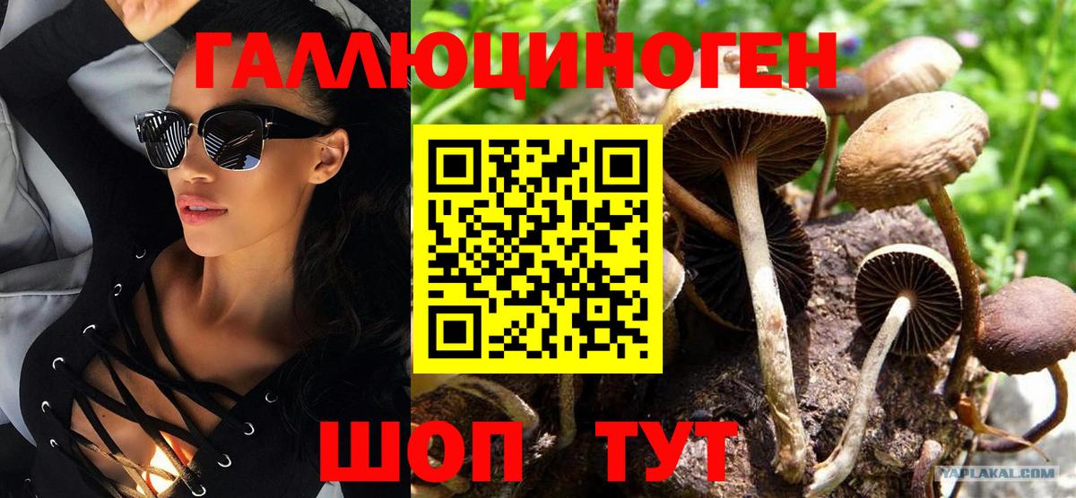 Псилоцибиновые грибы GOLDEN TEACHER  Вход с VPN  Похвистнево 