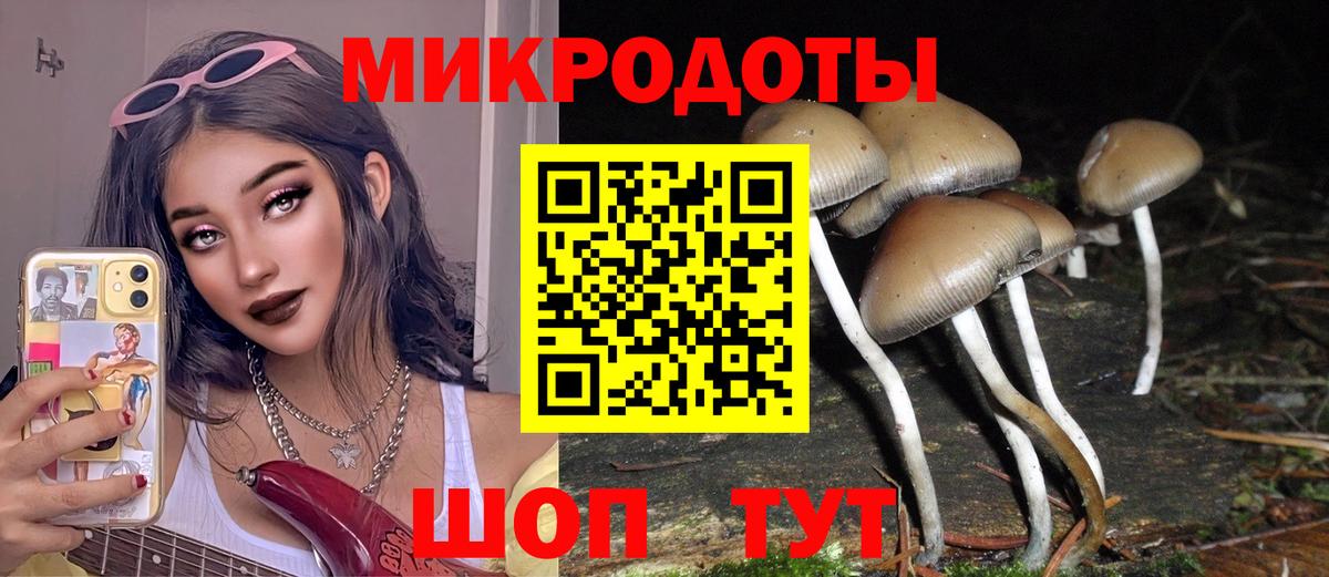 Галлюциногенные грибы Magic Shrooms Похвистнево